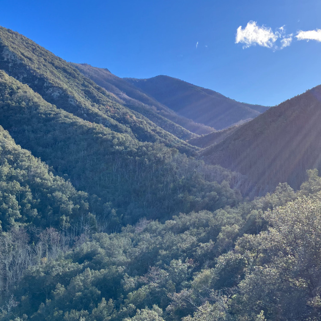 Local mountain walks