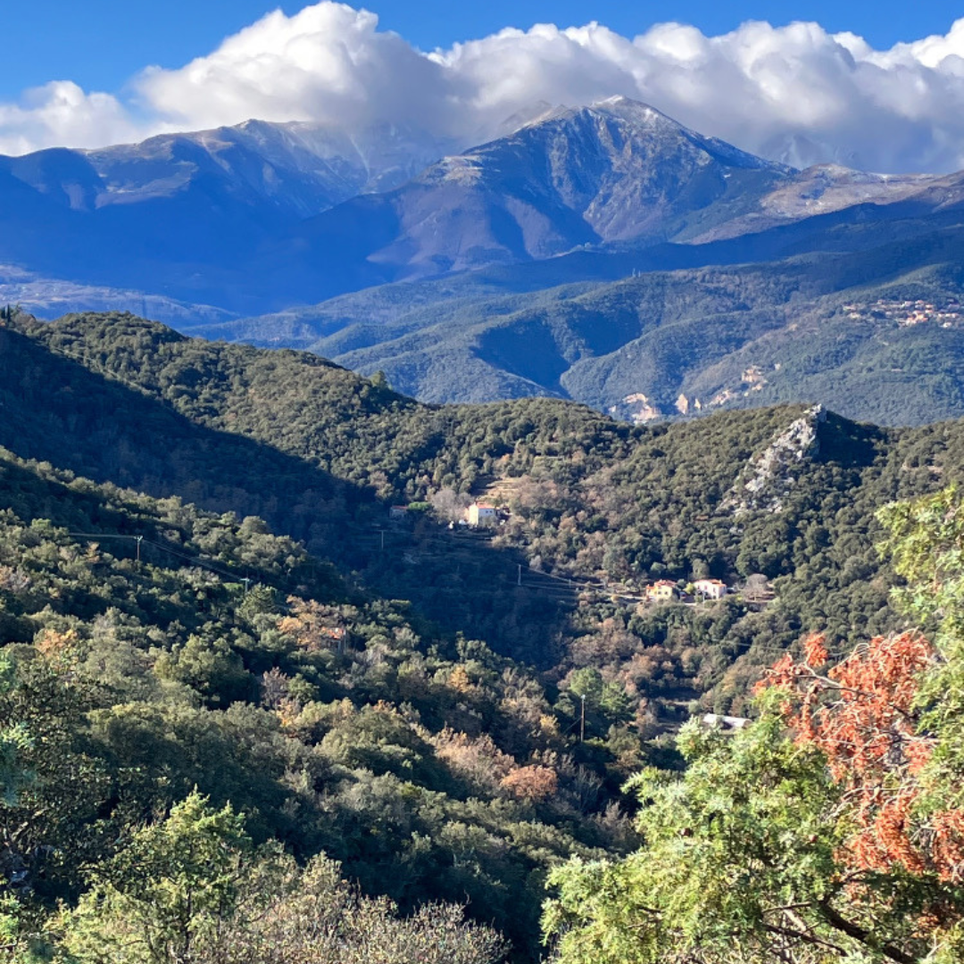 Local mountain walks