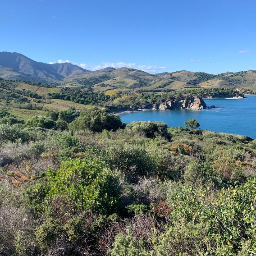 The coastal path